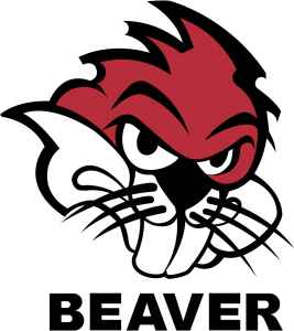 Beaver